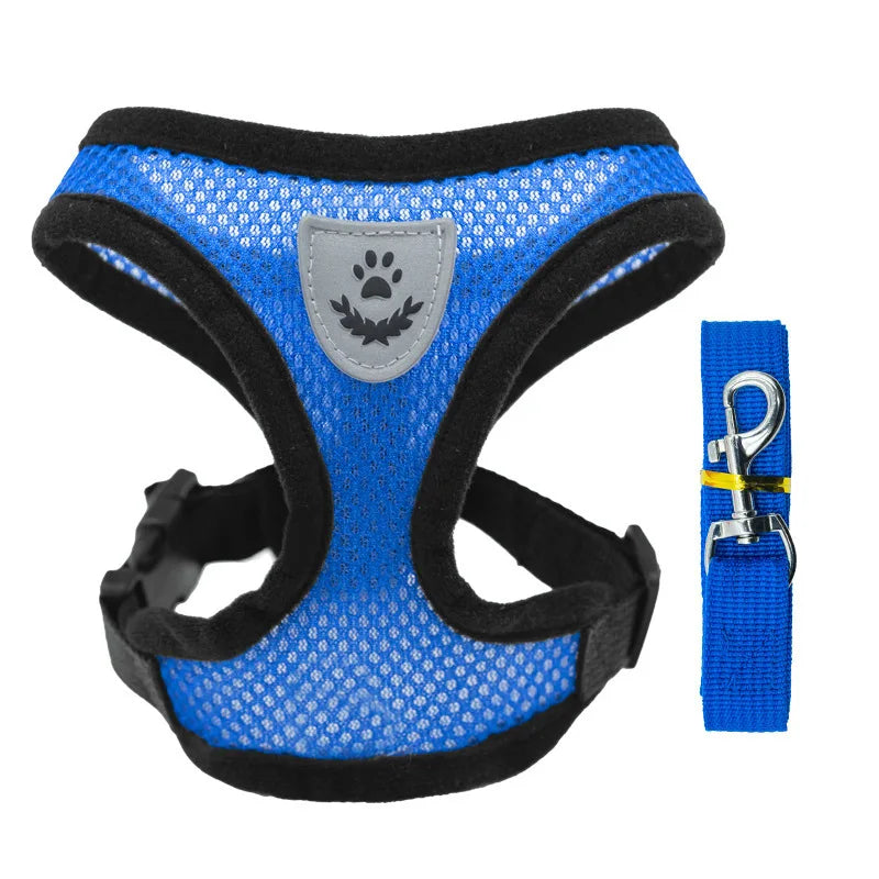 SoftWalk | Essential Comfort Harness