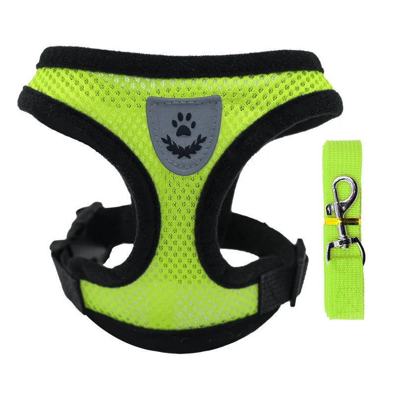 SoftWalk | Essential Comfort Harness