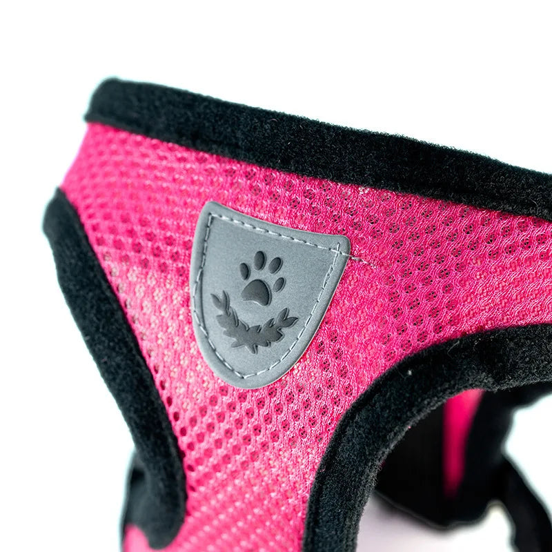 SoftWalk | Essential Comfort Harness