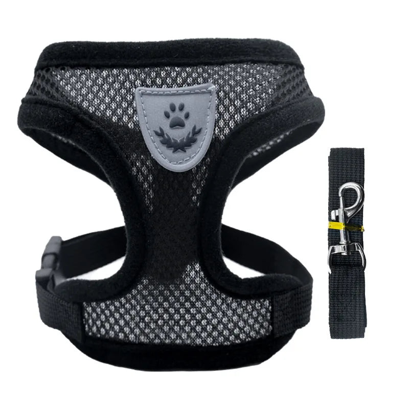SoftWalk | Essential Comfort Harness