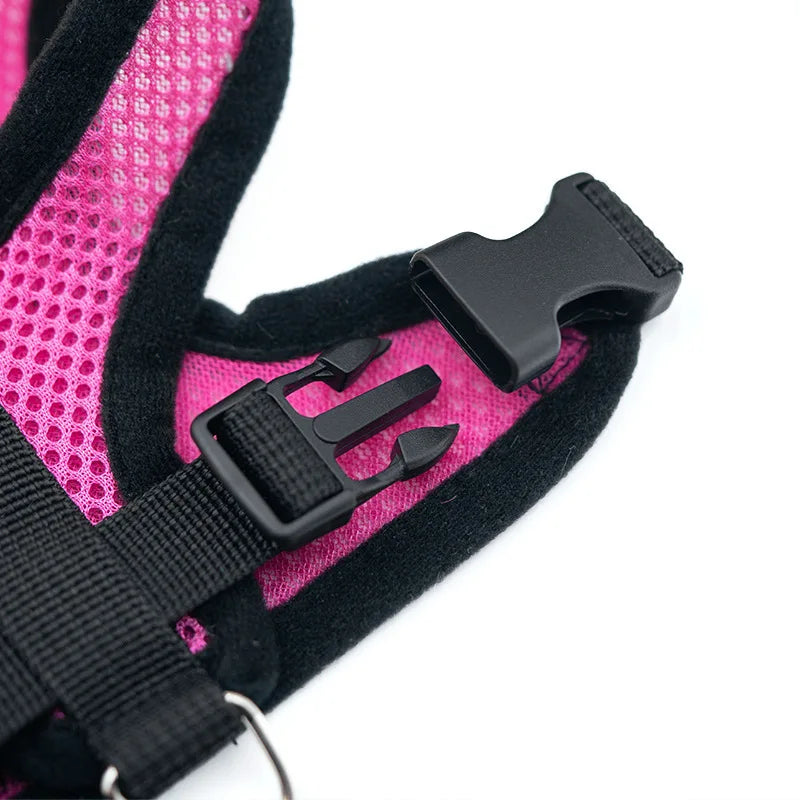 SoftWalk | Essential Comfort Harness