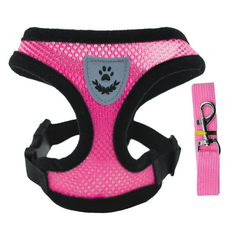 SoftWalk | Essential Comfort Harness