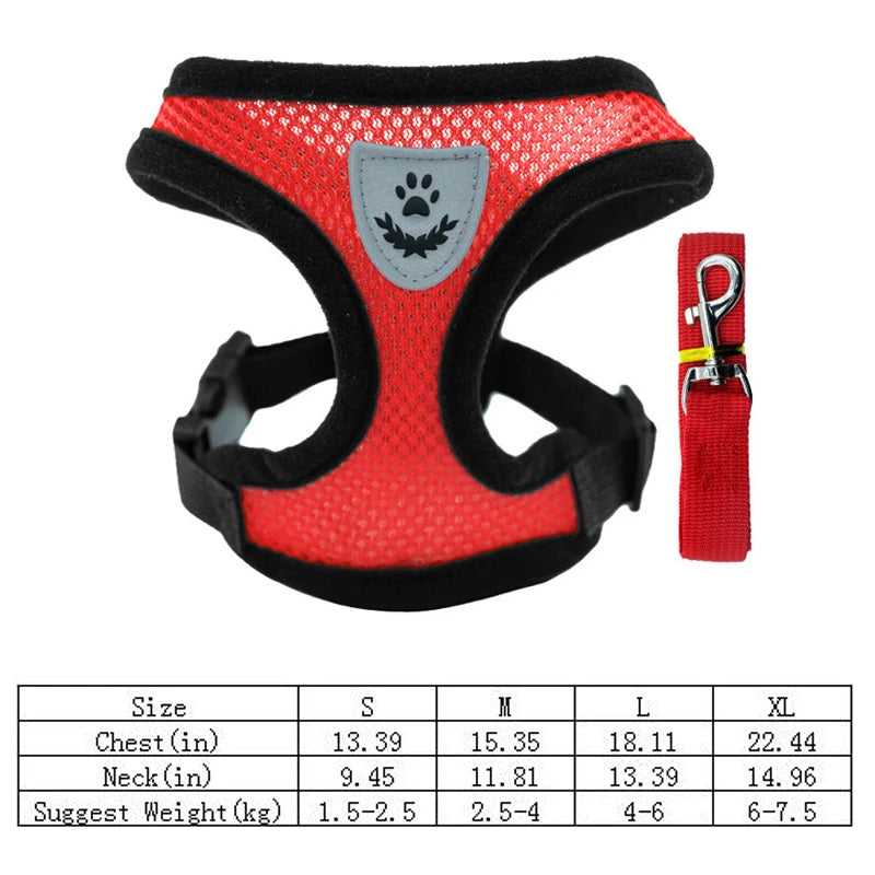 SoftWalk | Essential Comfort Harness