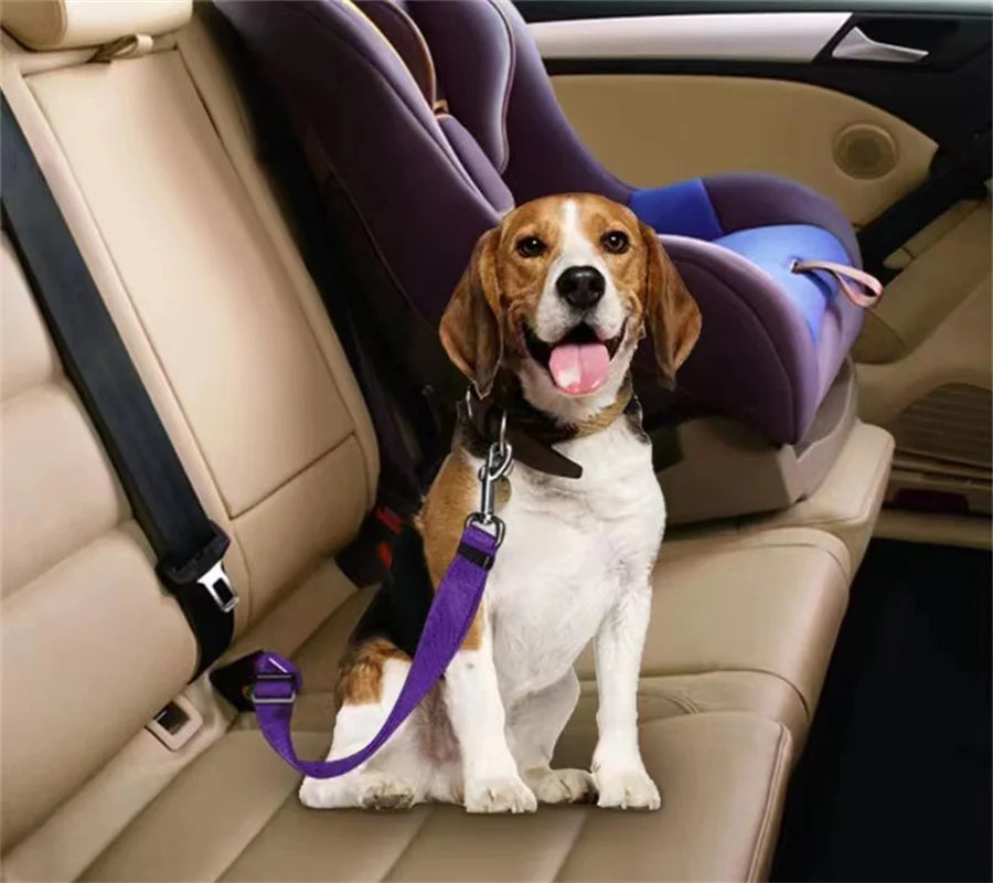 SafeRide | Universal Pet Car Seat Belt