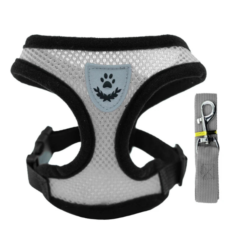 SoftWalk | Essential Comfort Harness