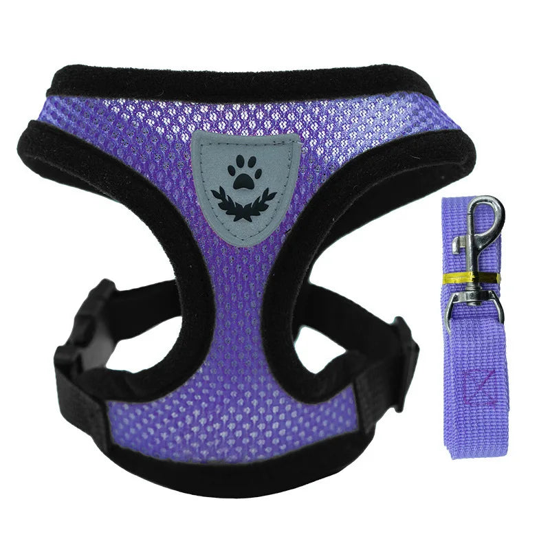 SoftWalk | Essential Comfort Harness