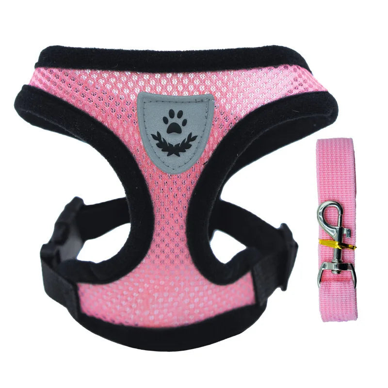 SoftWalk | Essential Comfort Harness