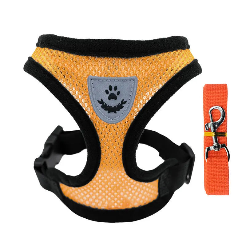 SoftWalk | Essential Comfort Harness