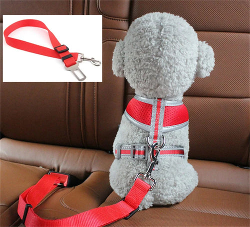 SafeRide | Universal Pet Car Seat Belt