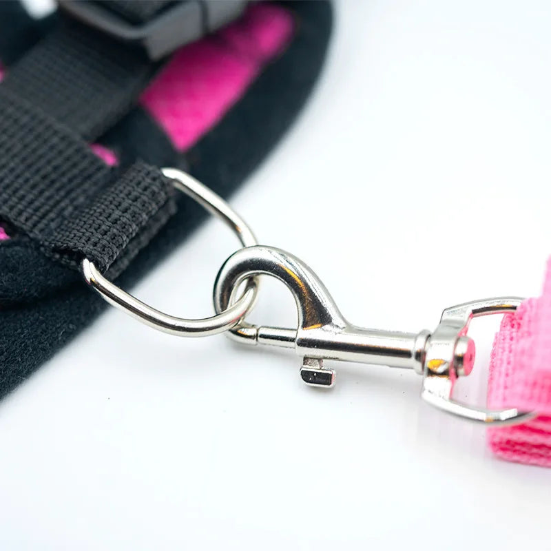 SoftWalk | Essential Comfort Harness