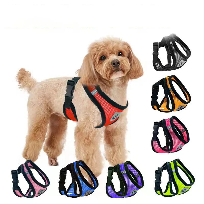 SoftWalk | Essential Comfort Harness