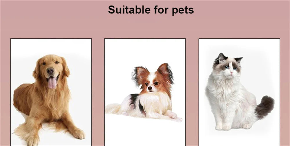 SafeRide | Universal Pet Car Seat Belt