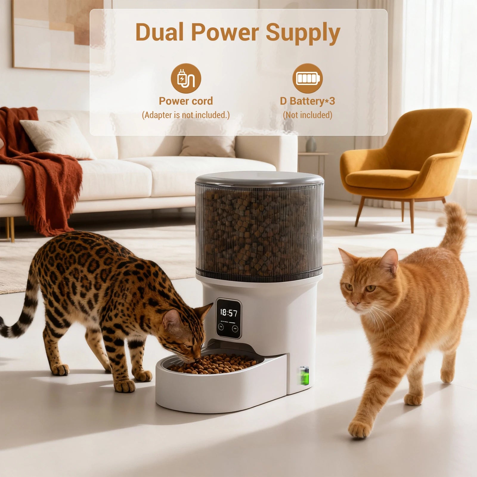 LoveyPaws SmartFeed