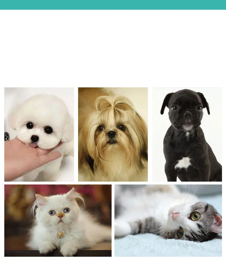 CleanPaws 2-in-1 Silicone Pet Bath Brush with Shampoo Dispenser for Dogs & Cats