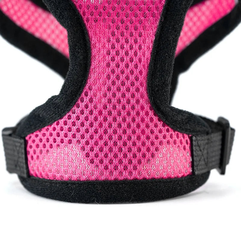 SoftWalk | Essential Comfort Harness