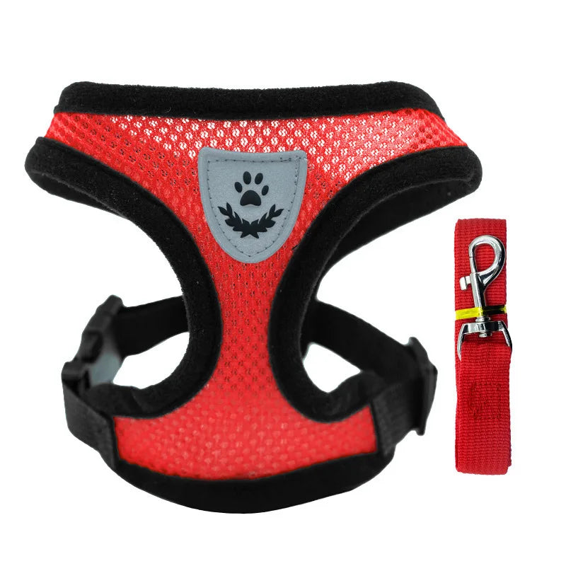 SoftWalk | Essential Comfort Harness